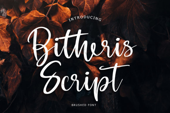 Bitheris: A Brush Handwritten Font for Elegant Branding