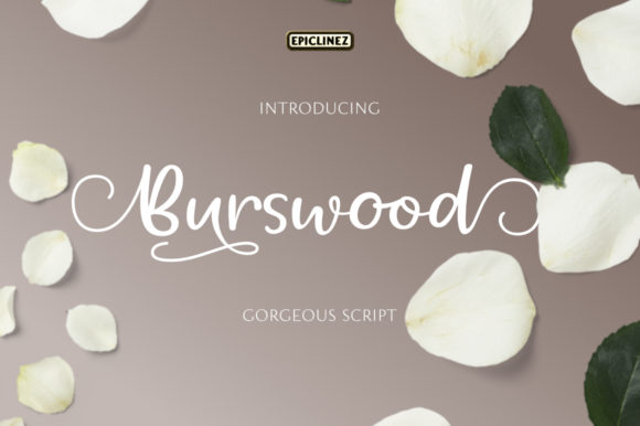 Burswood: A Delicate & Elegant Handwritten Font for Small Business Branding