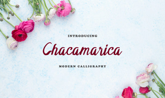 Chacamarica: A Soft & Elegant Script Handwritten Font for Digital Design