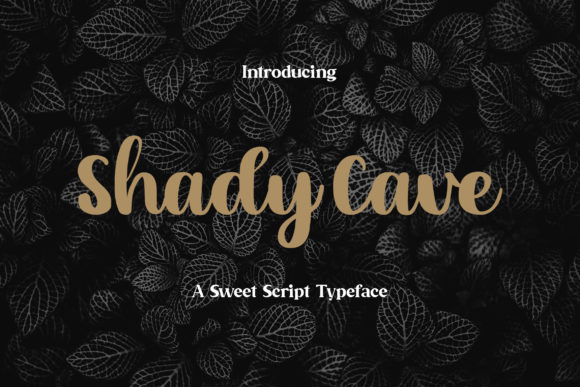 Shady Cave: A Relaxing Handwritten Font for Elegant Campaigns