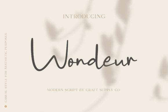 Wondeur: A Sweet & Delicate Script Handwritten Font for Digital Branding